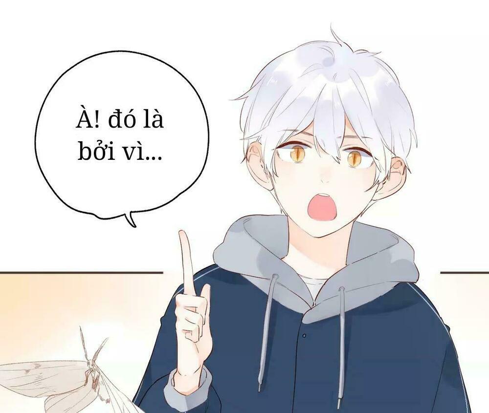 SOS! Tôi đã yêu một con sâu bướm: Chapter 52