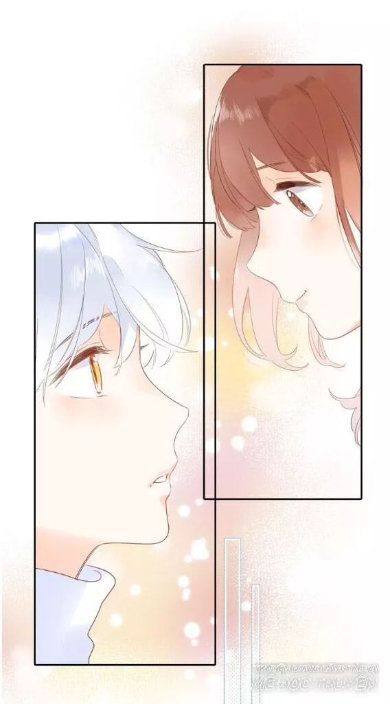 SOS! Tôi đã yêu một con sâu bướm: Chapter 58