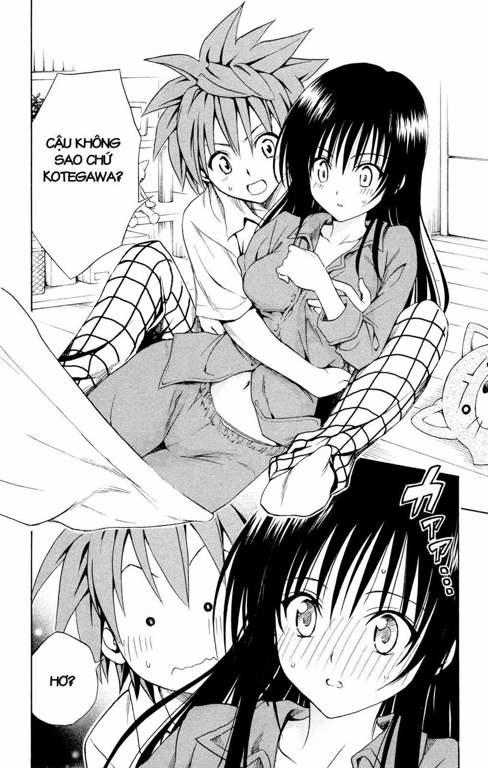 Bọn tớ thích cậu! Rito: Chapter 120