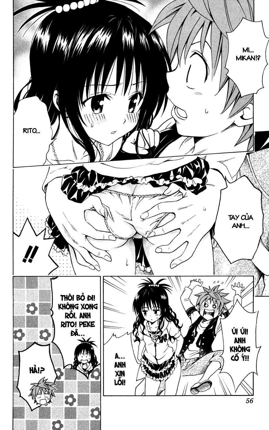 Bọn tớ thích cậu! Rito: Chapter 145