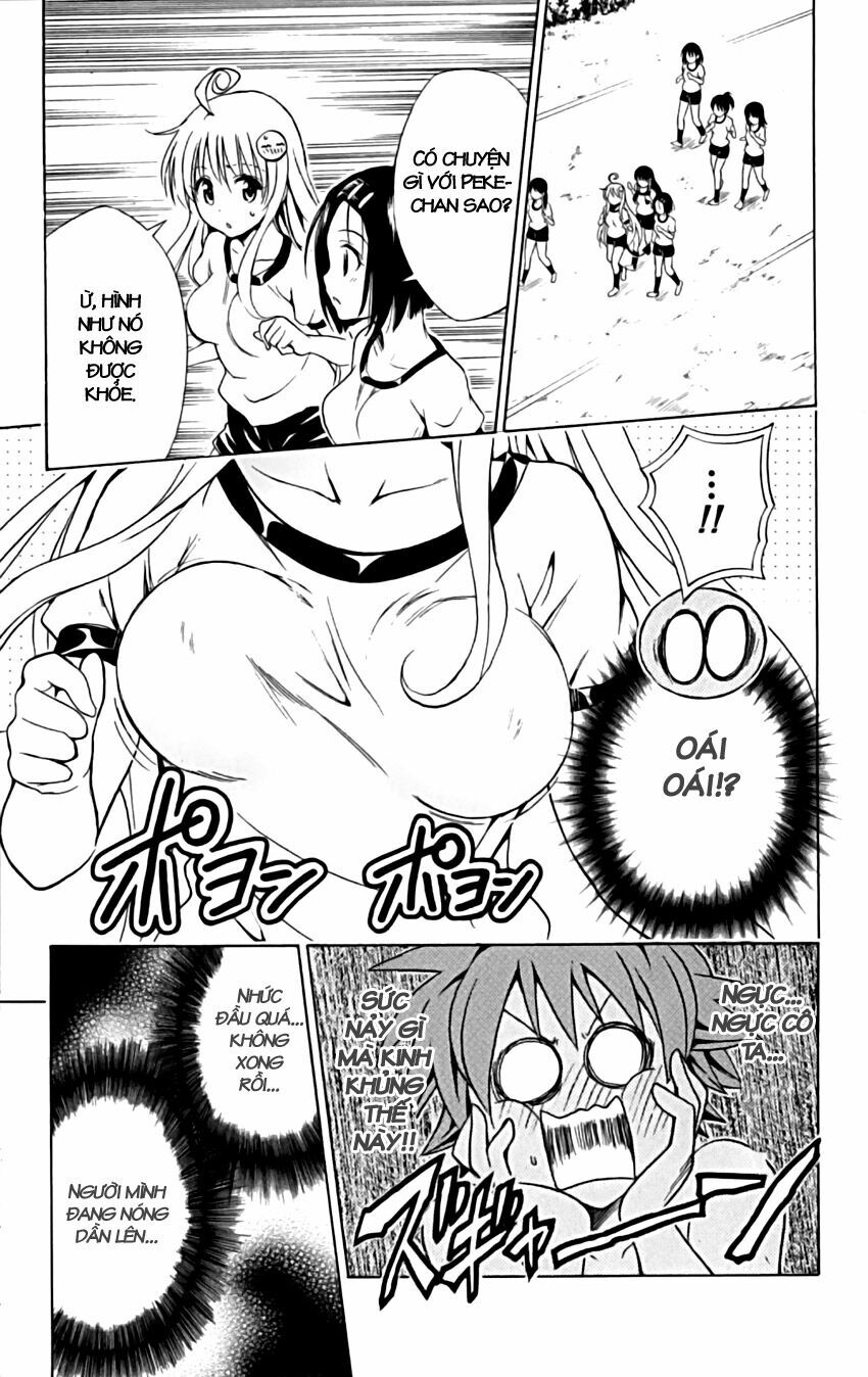 Bọn tớ thích cậu! Rito: Chapter 153