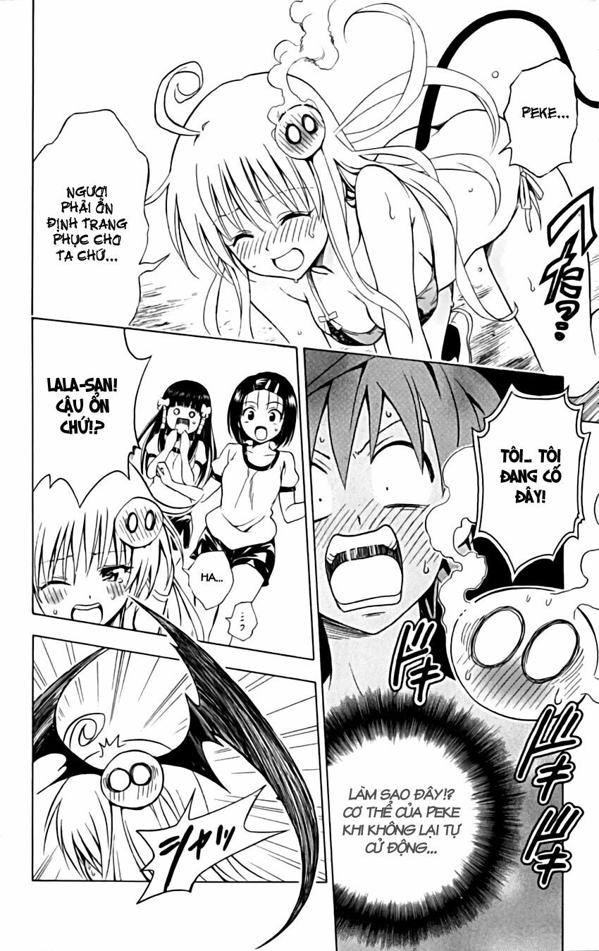 Bọn tớ thích cậu! Rito: Chapter 153