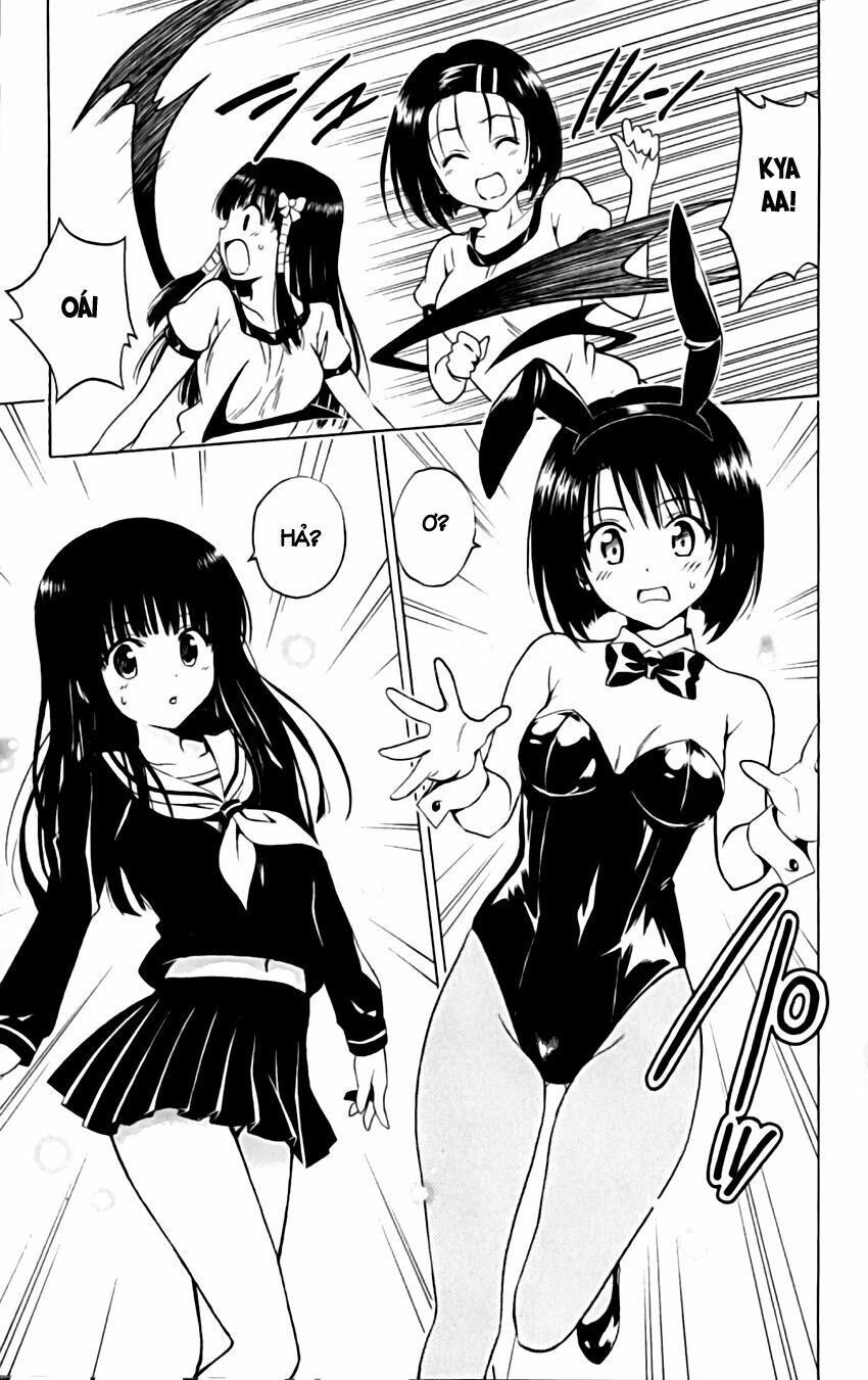 Bọn tớ thích cậu! Rito: Chapter 153