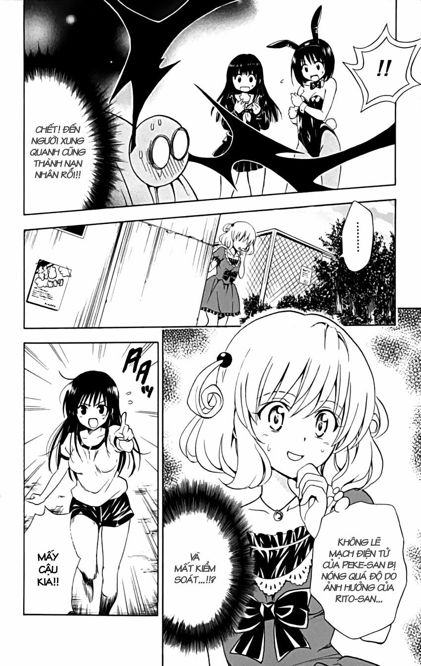 Bọn tớ thích cậu! Rito: Chapter 153