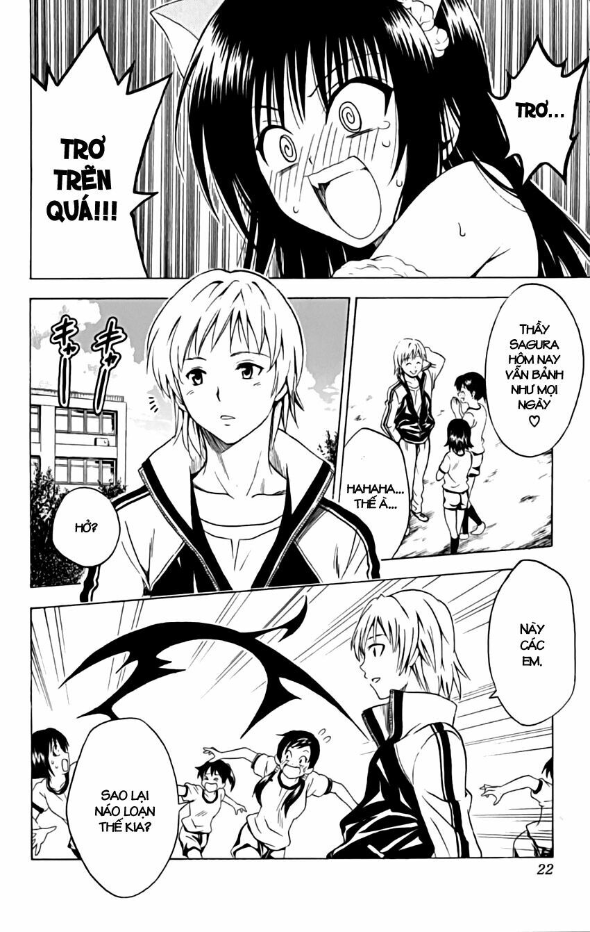 Bọn tớ thích cậu! Rito: Chapter 153