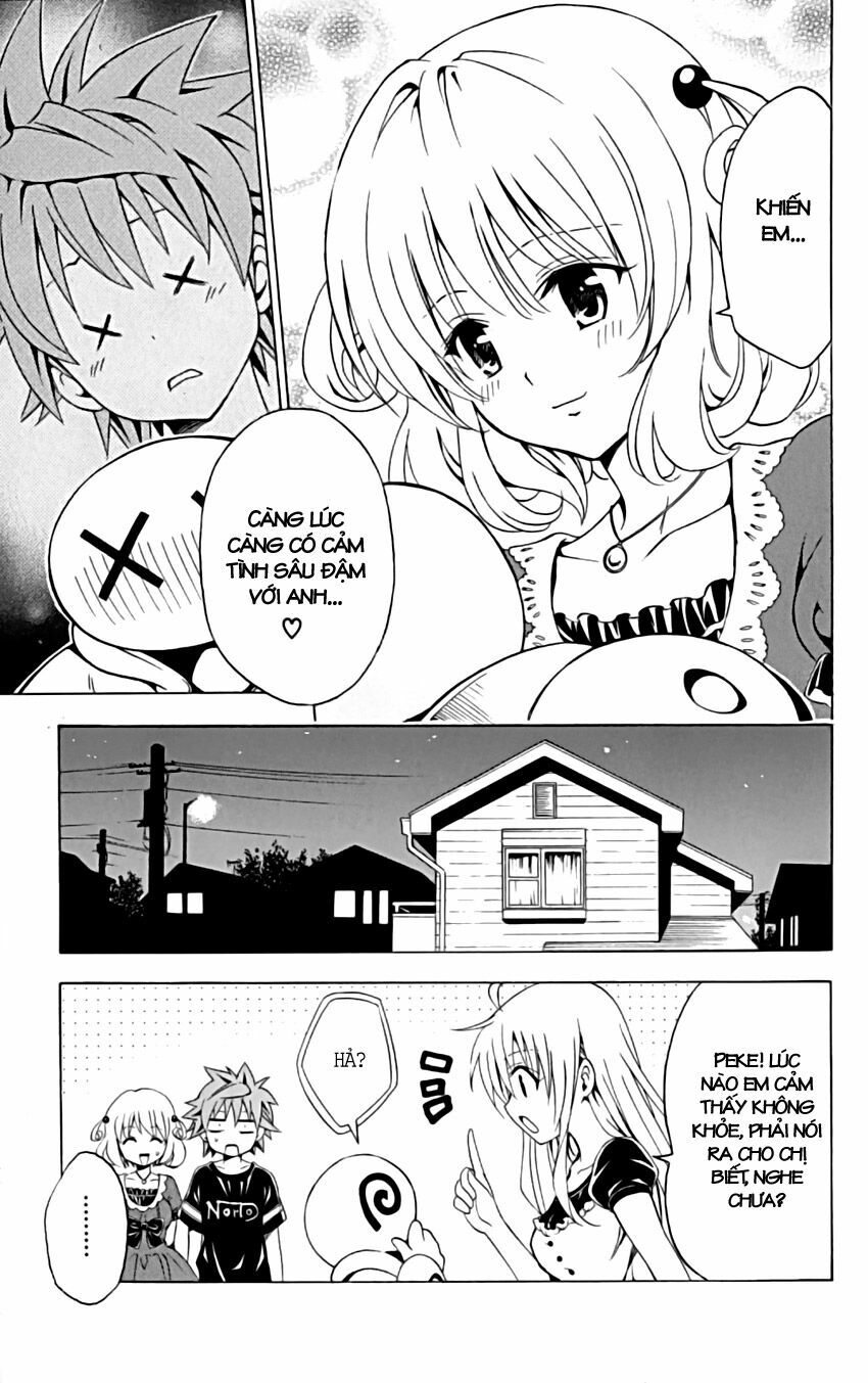 Bọn tớ thích cậu! Rito: Chapter 153
