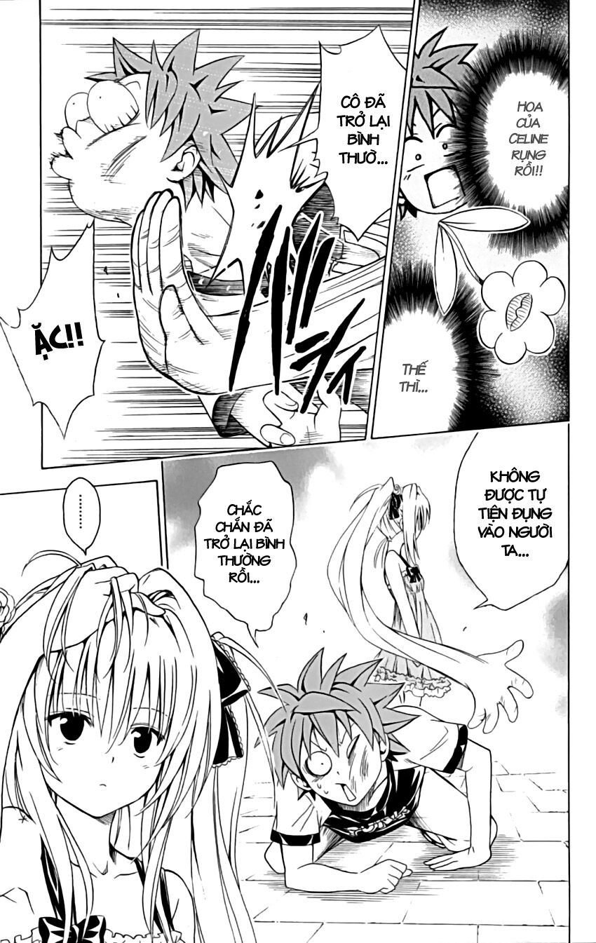 Bọn tớ thích cậu! Rito: Chapter 158