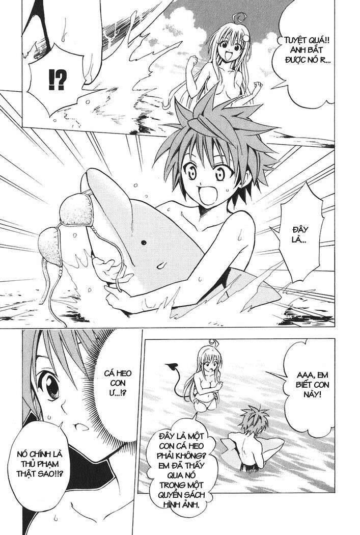 Bọn tớ thích cậu! Rito: Chapter 17