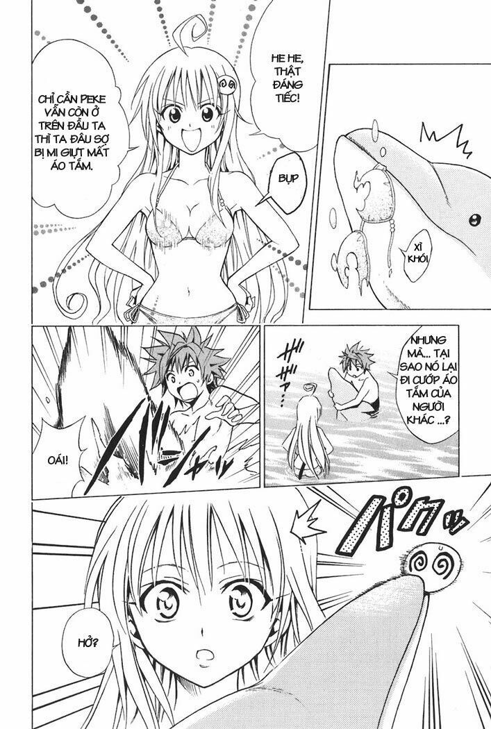Bọn tớ thích cậu! Rito: Chapter 17