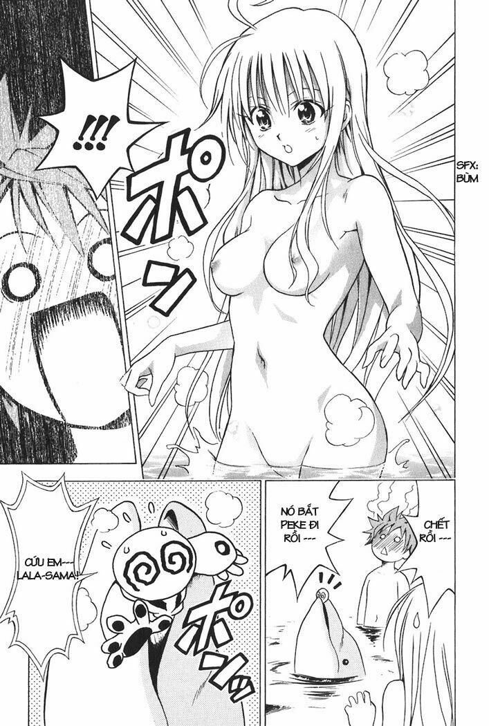 Bọn tớ thích cậu! Rito: Chapter 17
