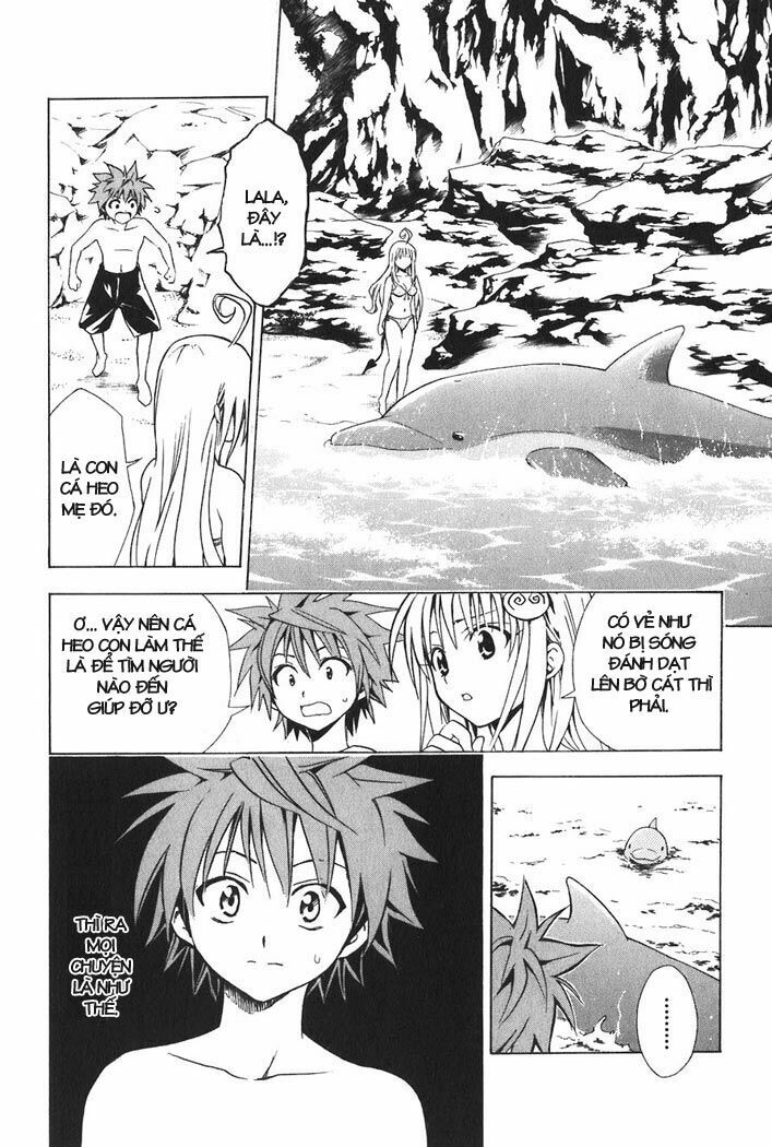 Bọn tớ thích cậu! Rito: Chapter 17