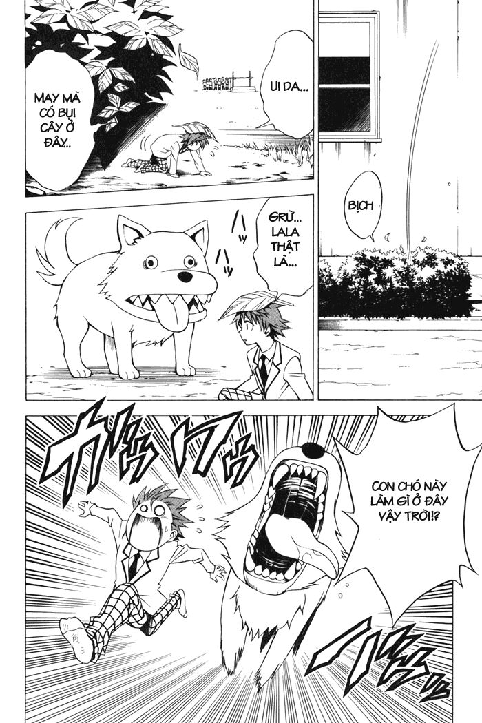 Bọn tớ thích cậu! Rito: Chapter 29