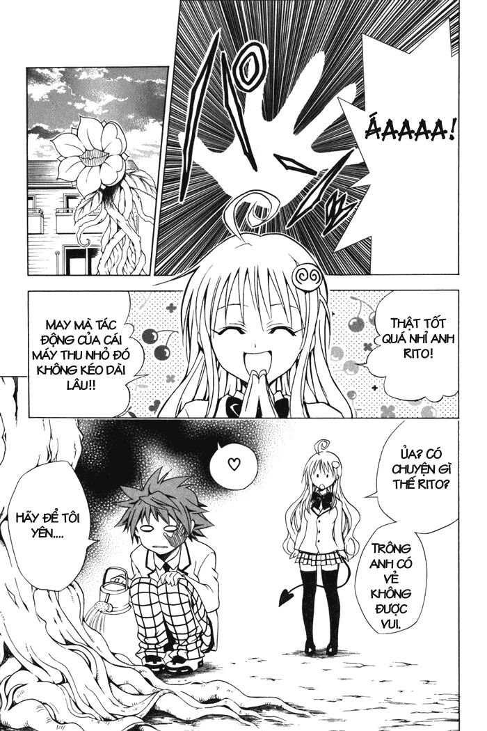 Bọn tớ thích cậu! Rito: Chapter 29
