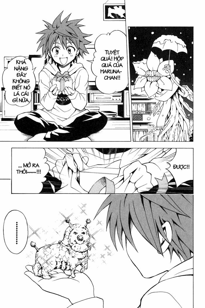 Bọn tớ thích cậu! Rito: Chapter 34