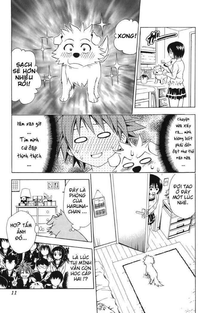 Bọn tớ thích cậu! Rito: Chapter 44