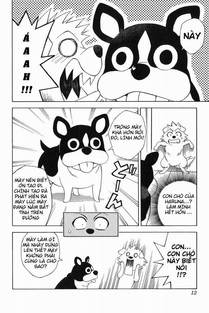 Bọn tớ thích cậu! Rito: Chapter 44