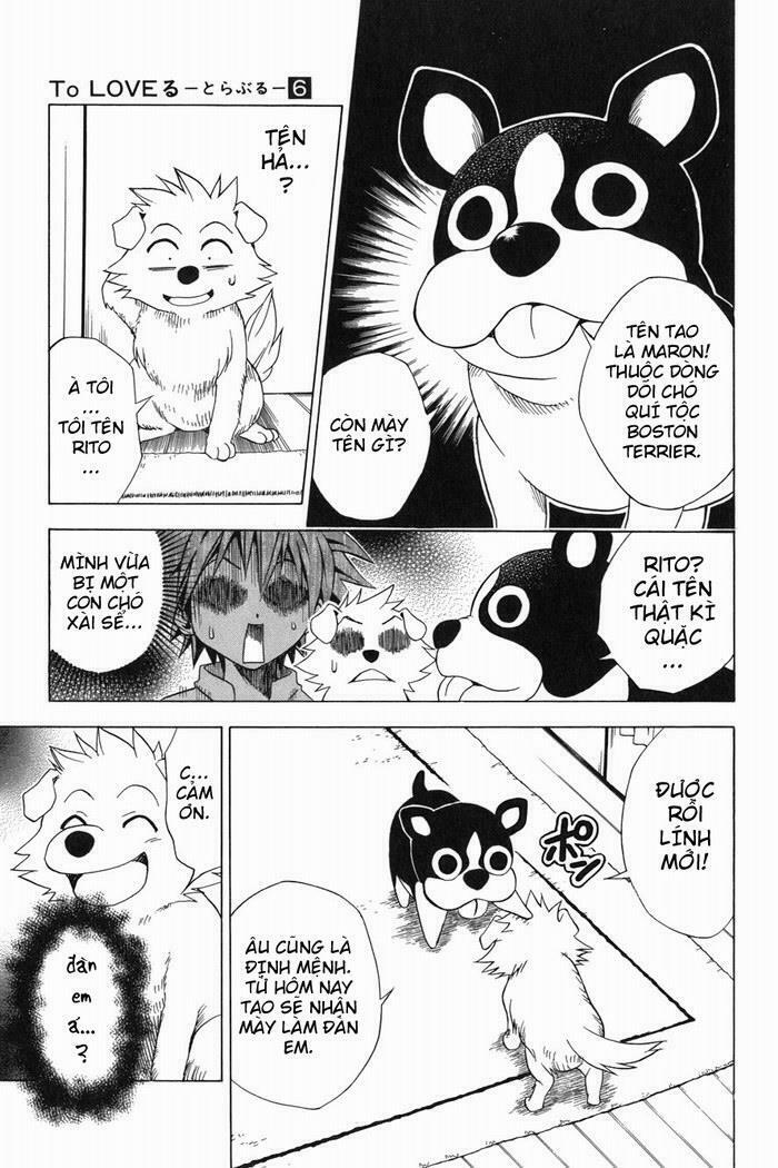 Bọn tớ thích cậu! Rito: Chapter 44