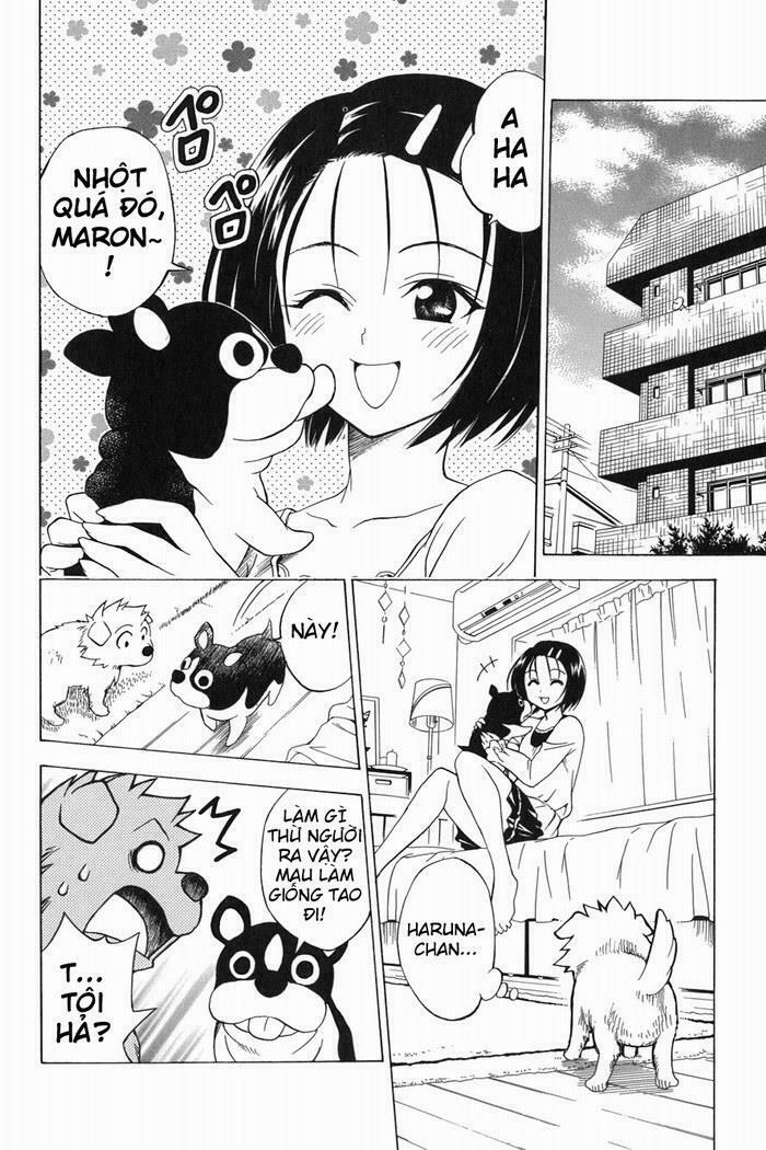 Bọn tớ thích cậu! Rito: Chapter 44