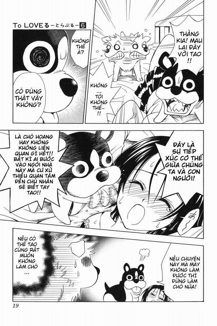 Bọn tớ thích cậu! Rito: Chapter 44