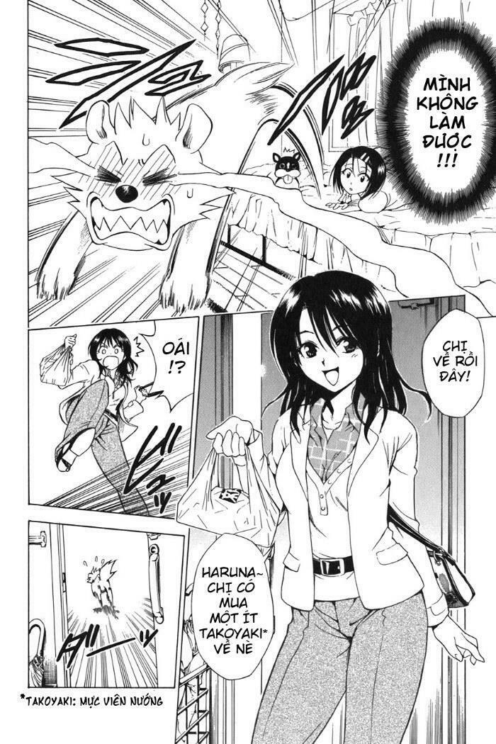 Bọn tớ thích cậu! Rito: Chapter 44