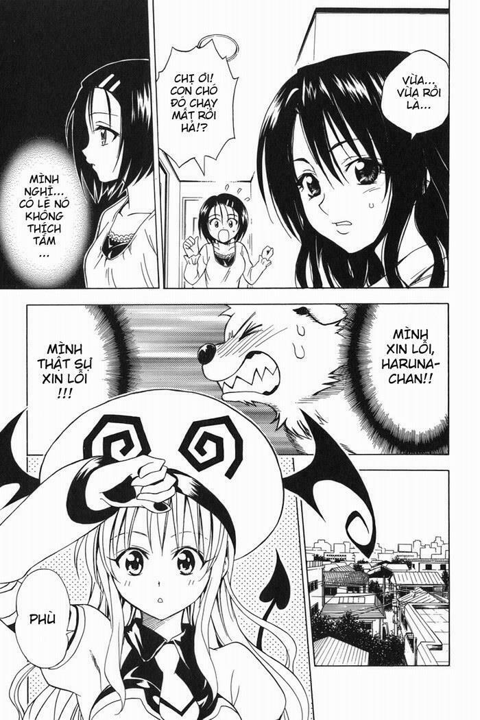 Bọn tớ thích cậu! Rito: Chapter 44