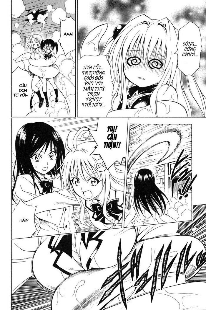 Bọn tớ thích cậu! Rito: Chapter 57