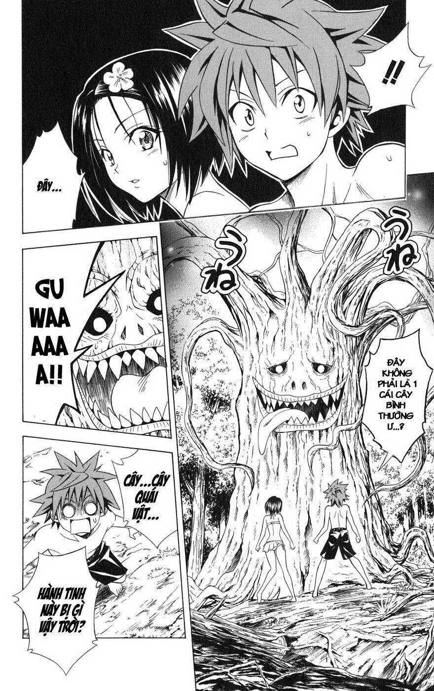 Bọn tớ thích cậu! Rito: Chapter 69