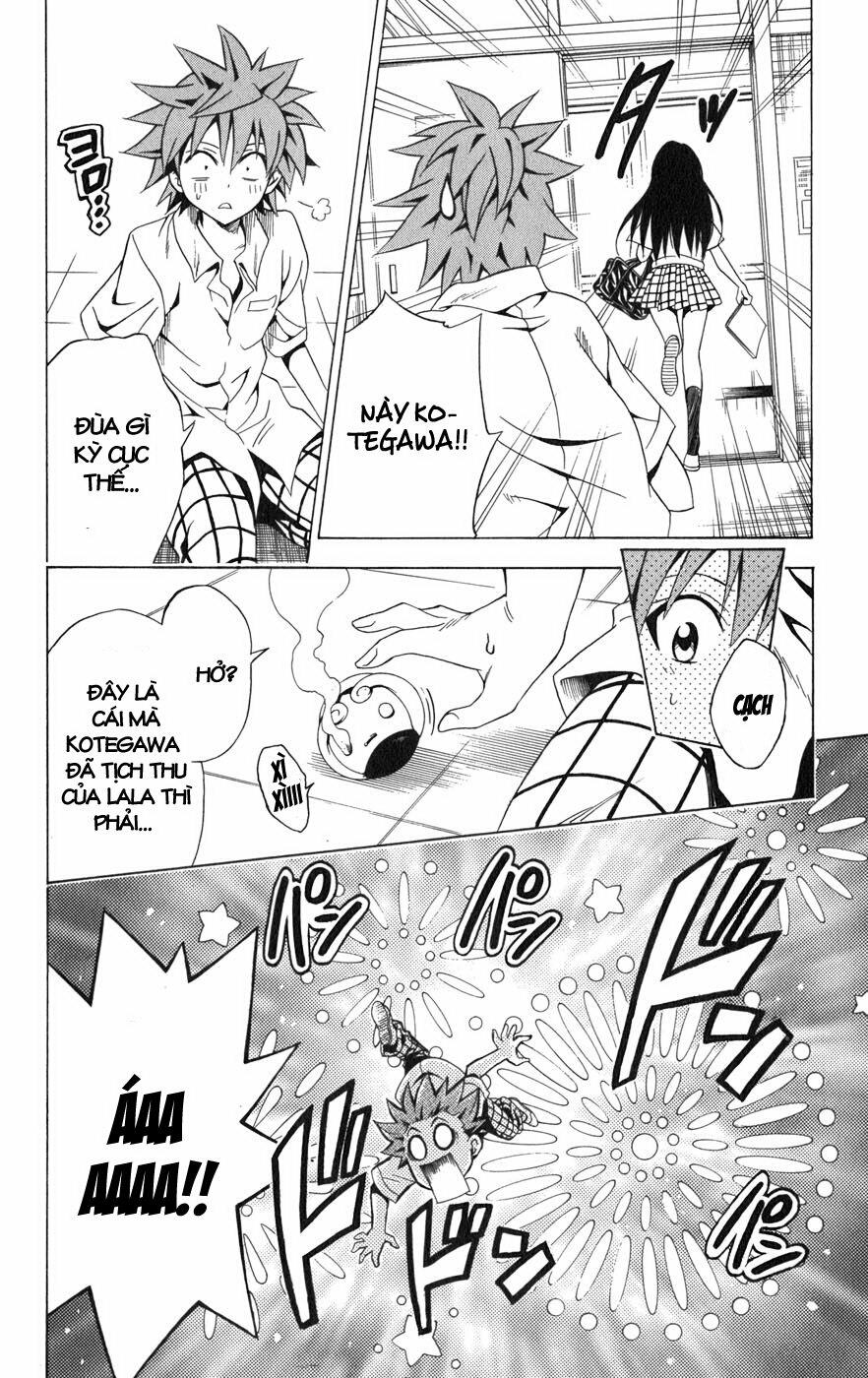 Bọn tớ thích cậu! Rito: Chapter 74