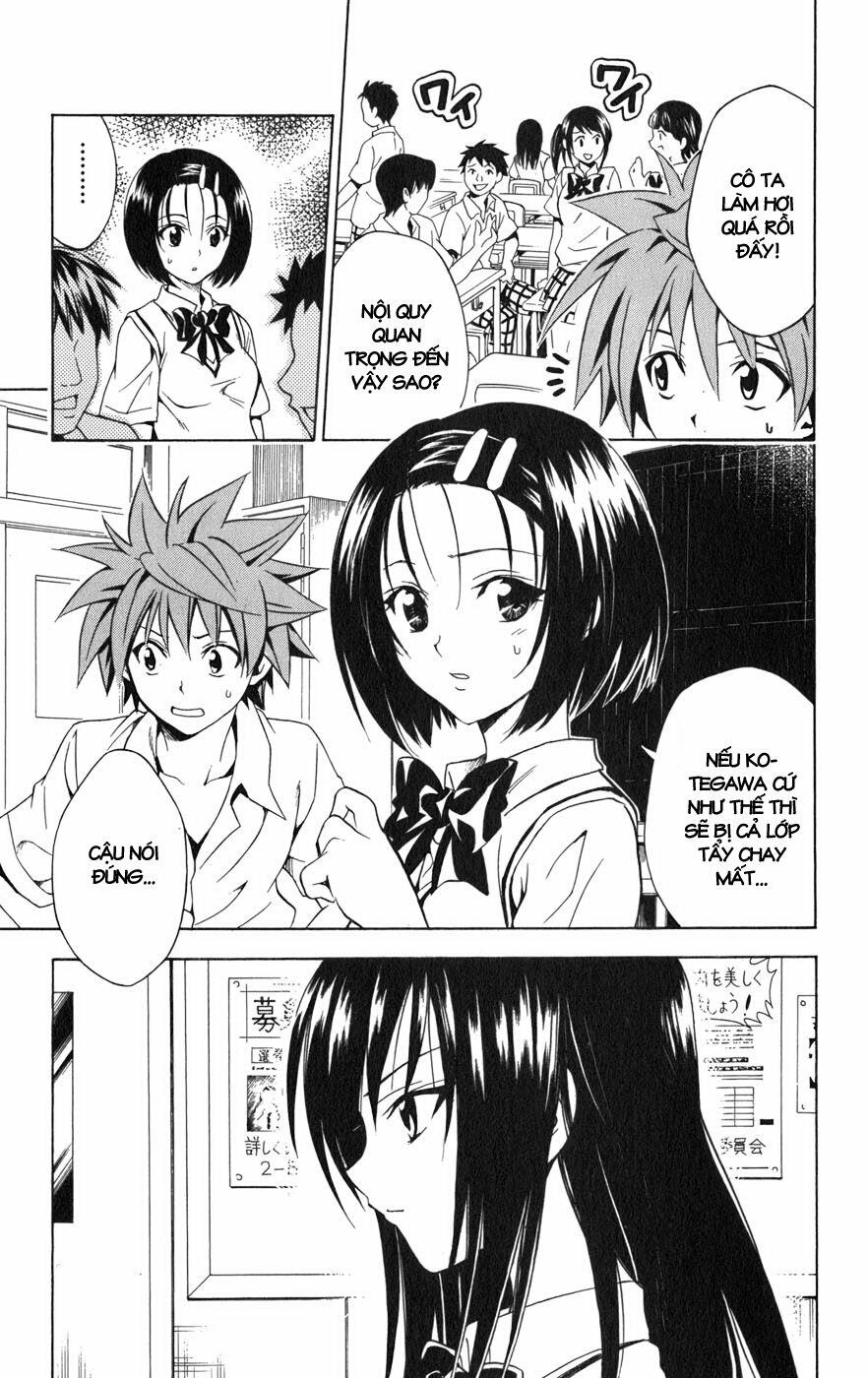 Bọn tớ thích cậu! Rito: Chapter 74