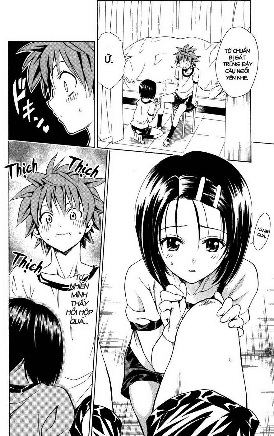 Bọn tớ thích cậu! Rito: Chapter 84