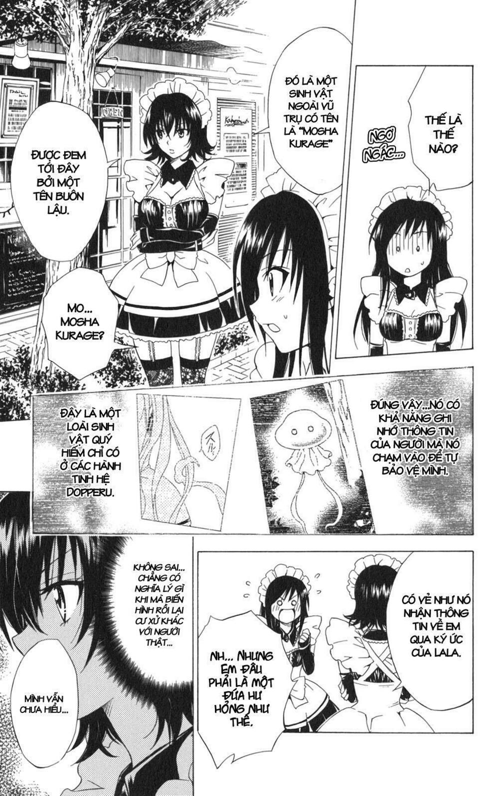 Bọn tớ thích cậu! Rito: Chapter 91