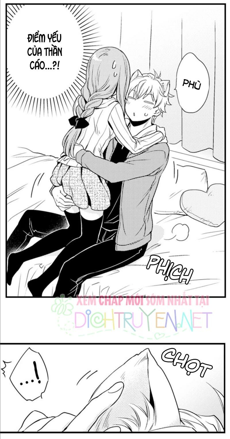 Cô dâu Cửu Vỹ Hồ: Chapter 7