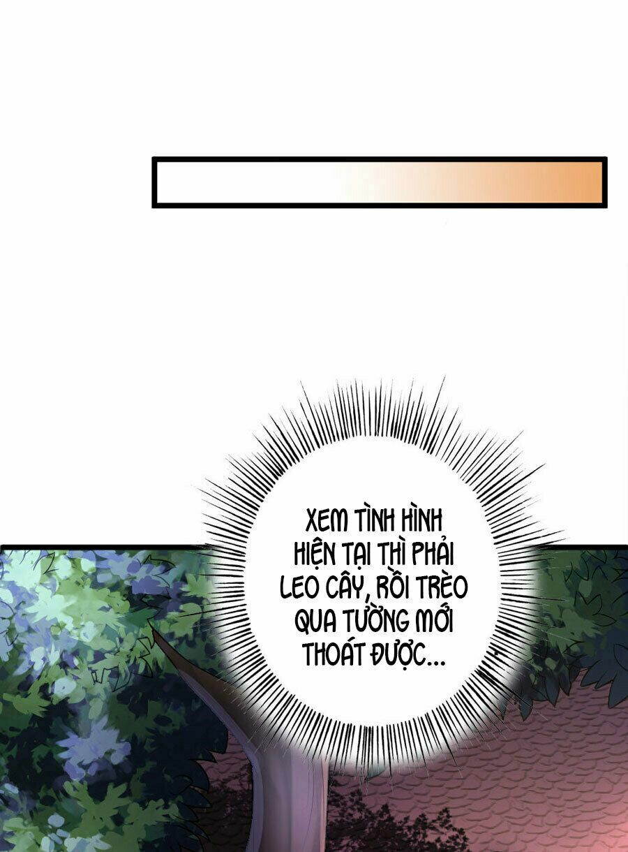Tiểu Bạch Điềm Thê Của Long Thiếu: Chapter 8