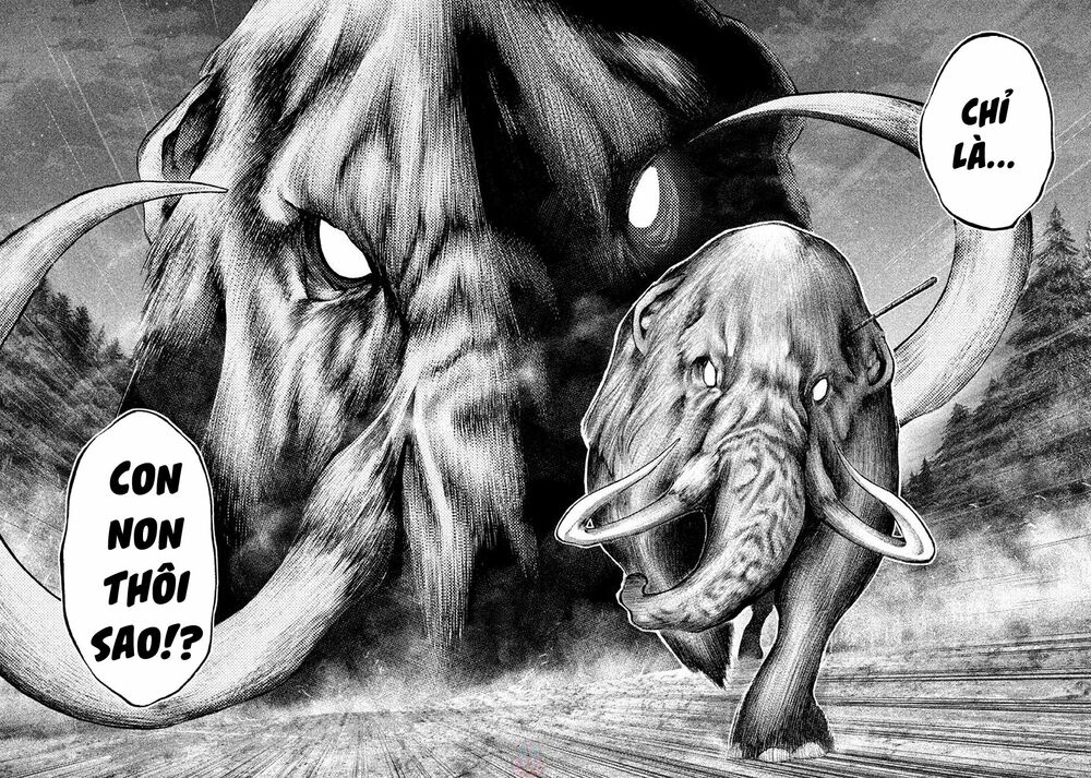 Grashros: Chapter 5