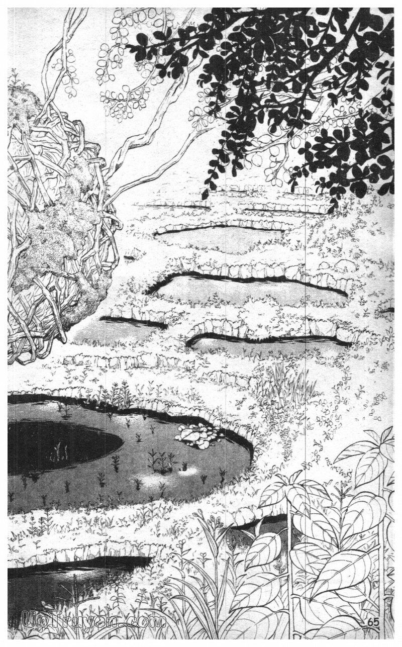 Kết Giới Sư: Chapter 36.4: 36-45
