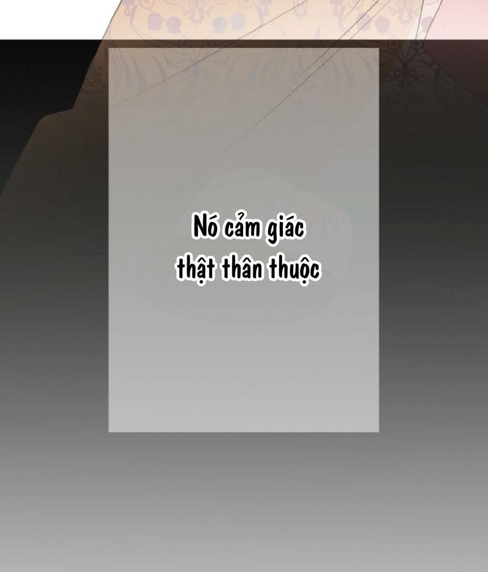 Trở Thành Nữ Kiếm Sĩ Hoàng Gia Ở Thế Giới Khác: Chapter 1