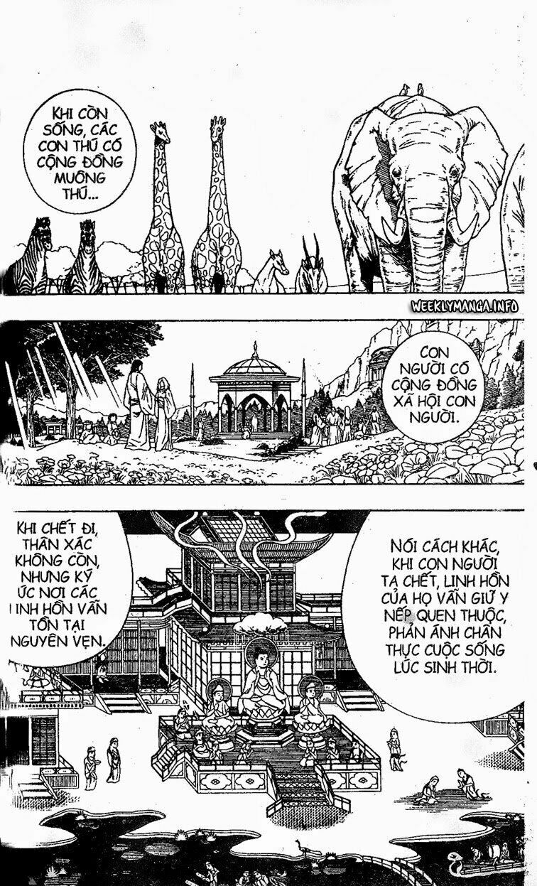 Vua Pháp Thuật: Chapter 194