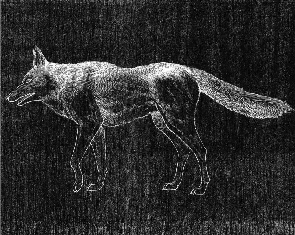 Vua Pháp Thuật: Chapter 226