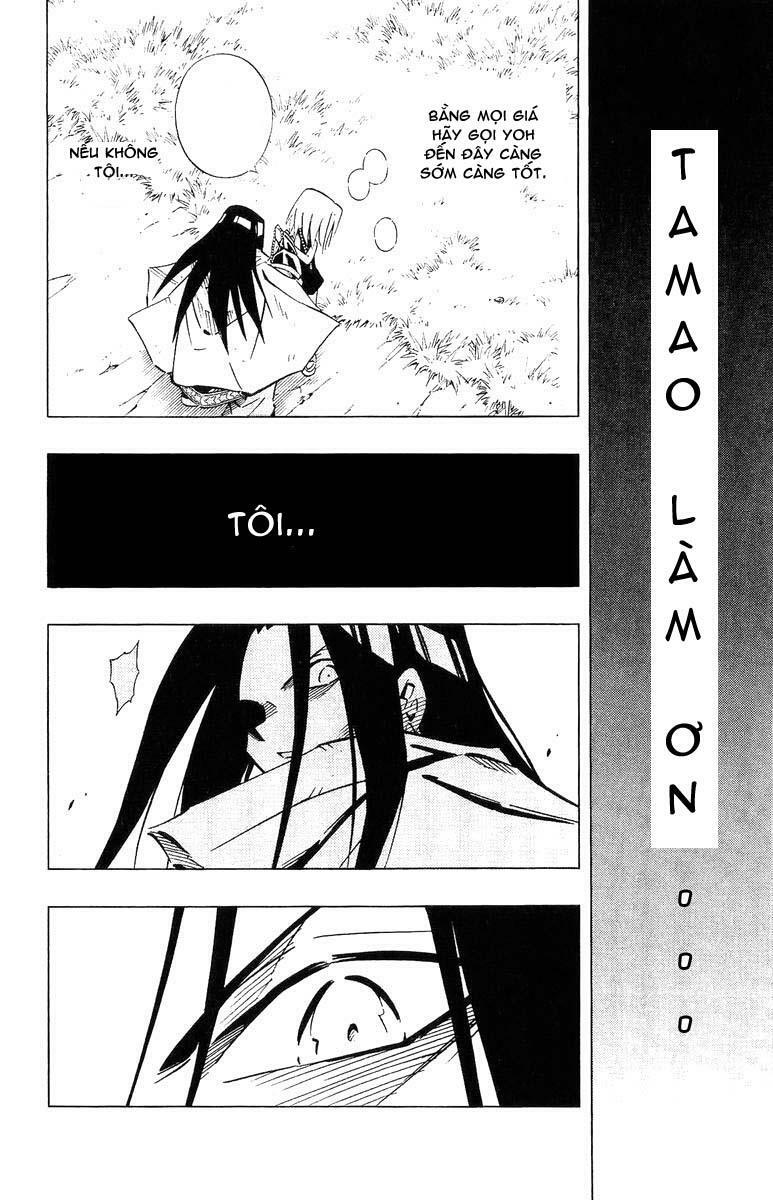 Vua Pháp Thuật: Chapter 245
