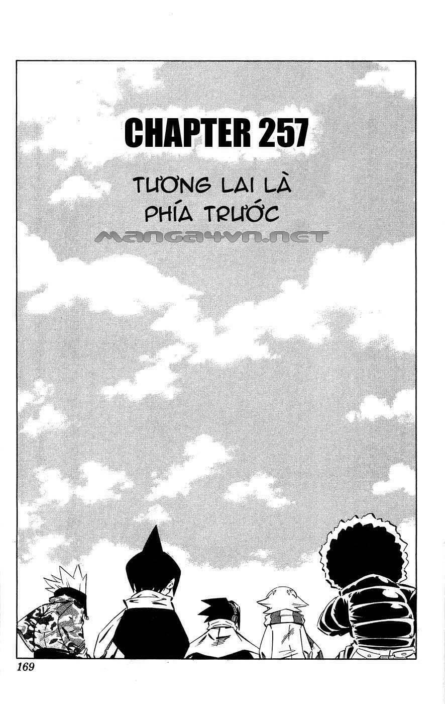 Vua Pháp Thuật: Chapter 257
