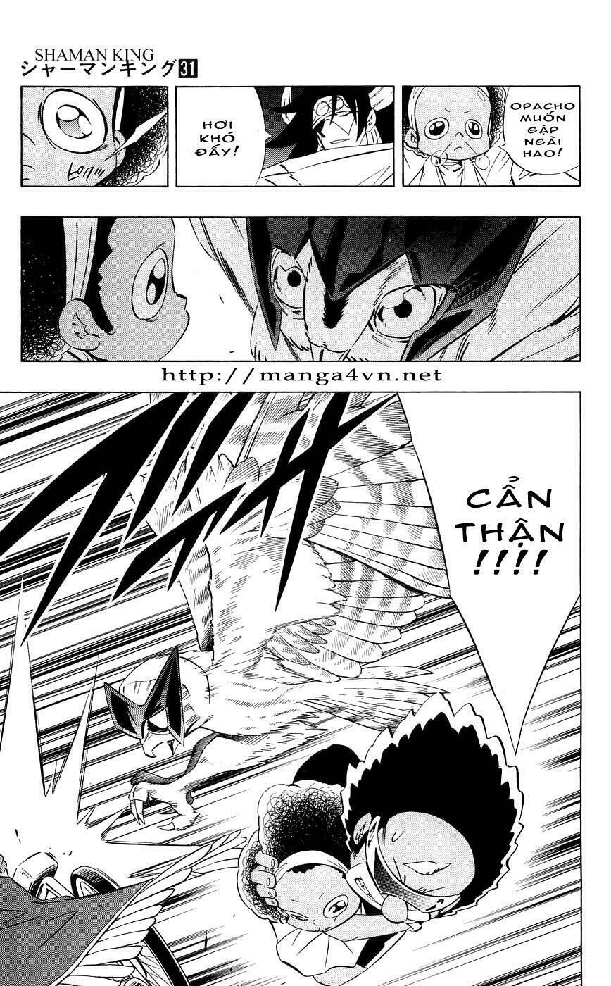 Vua Pháp Thuật: Chapter 274