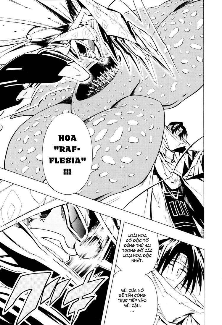 Vua Pháp Thuật: Chapter 293