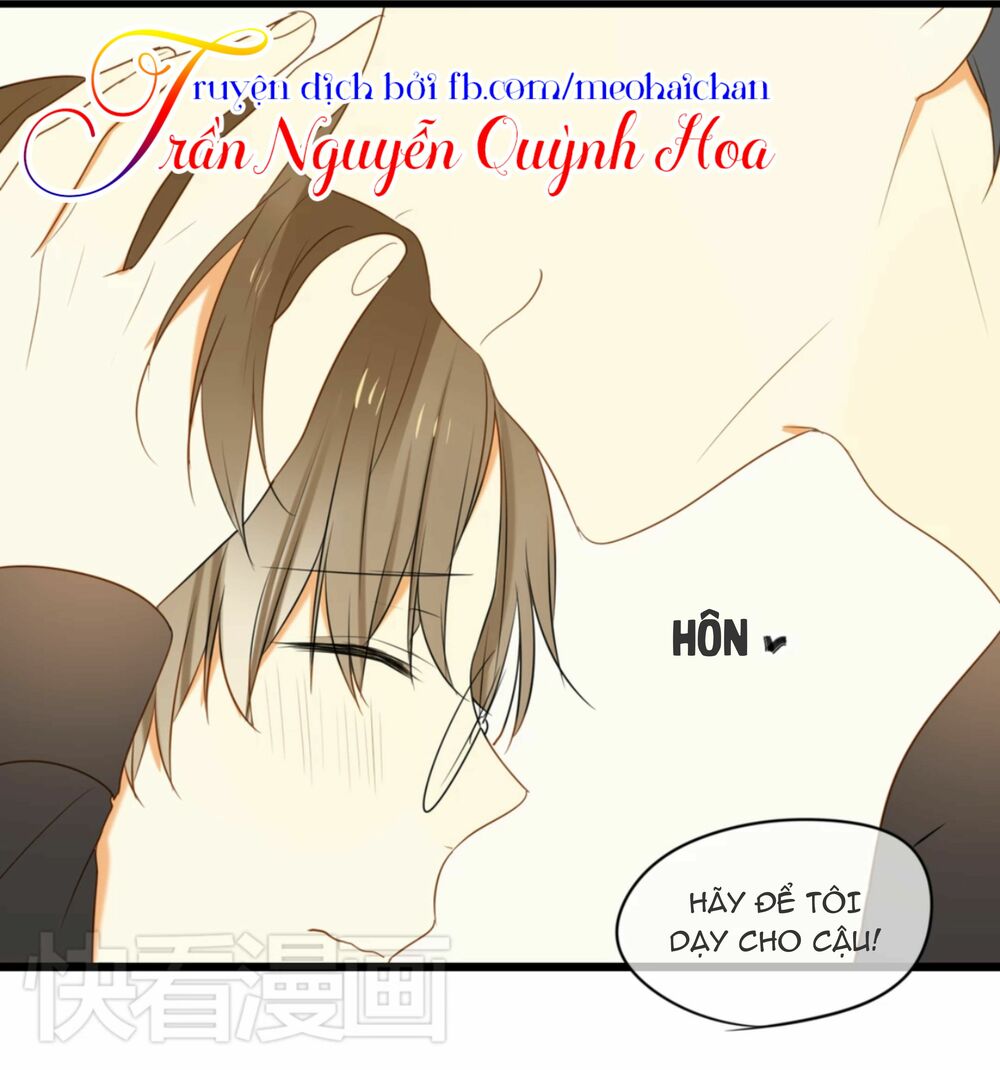 Điều giáo quan hệ: Chapter 11