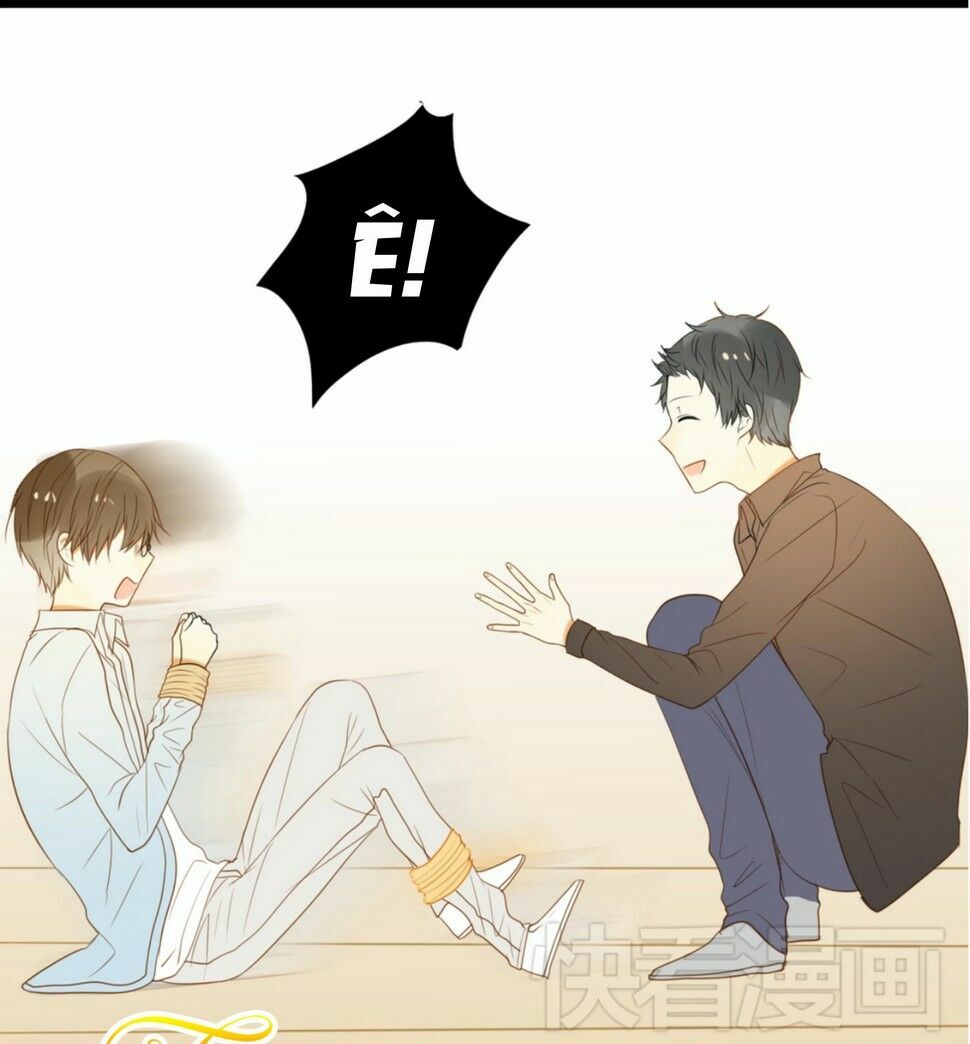 Điều giáo quan hệ: Chapter 11