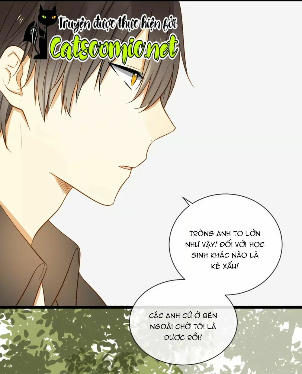 Điều giáo quan hệ: Chapter 16