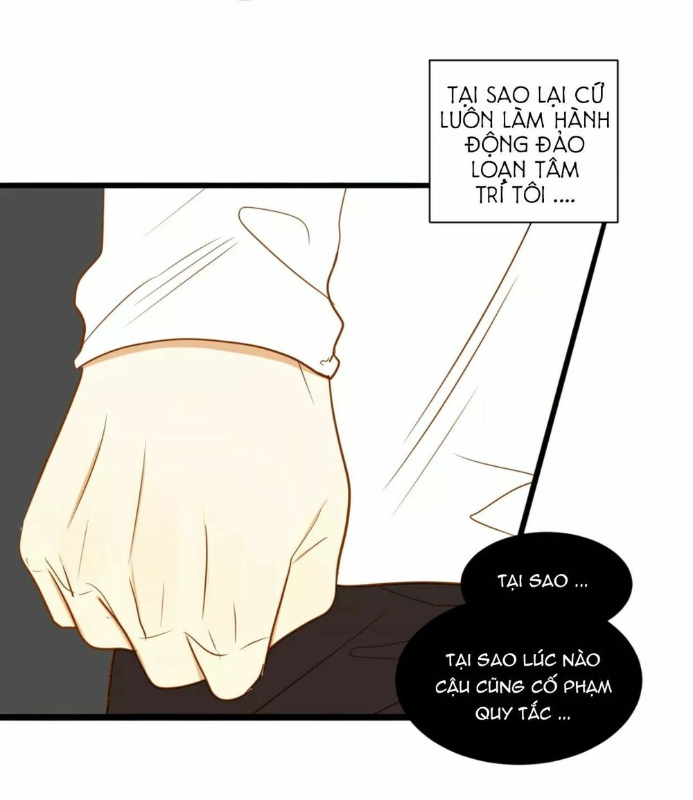 Điều giáo quan hệ: Chapter 17