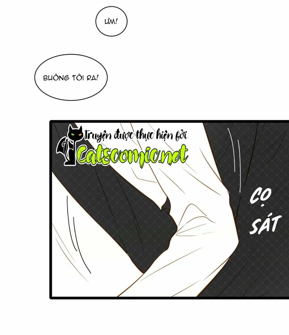 Điều giáo quan hệ: Chapter 17