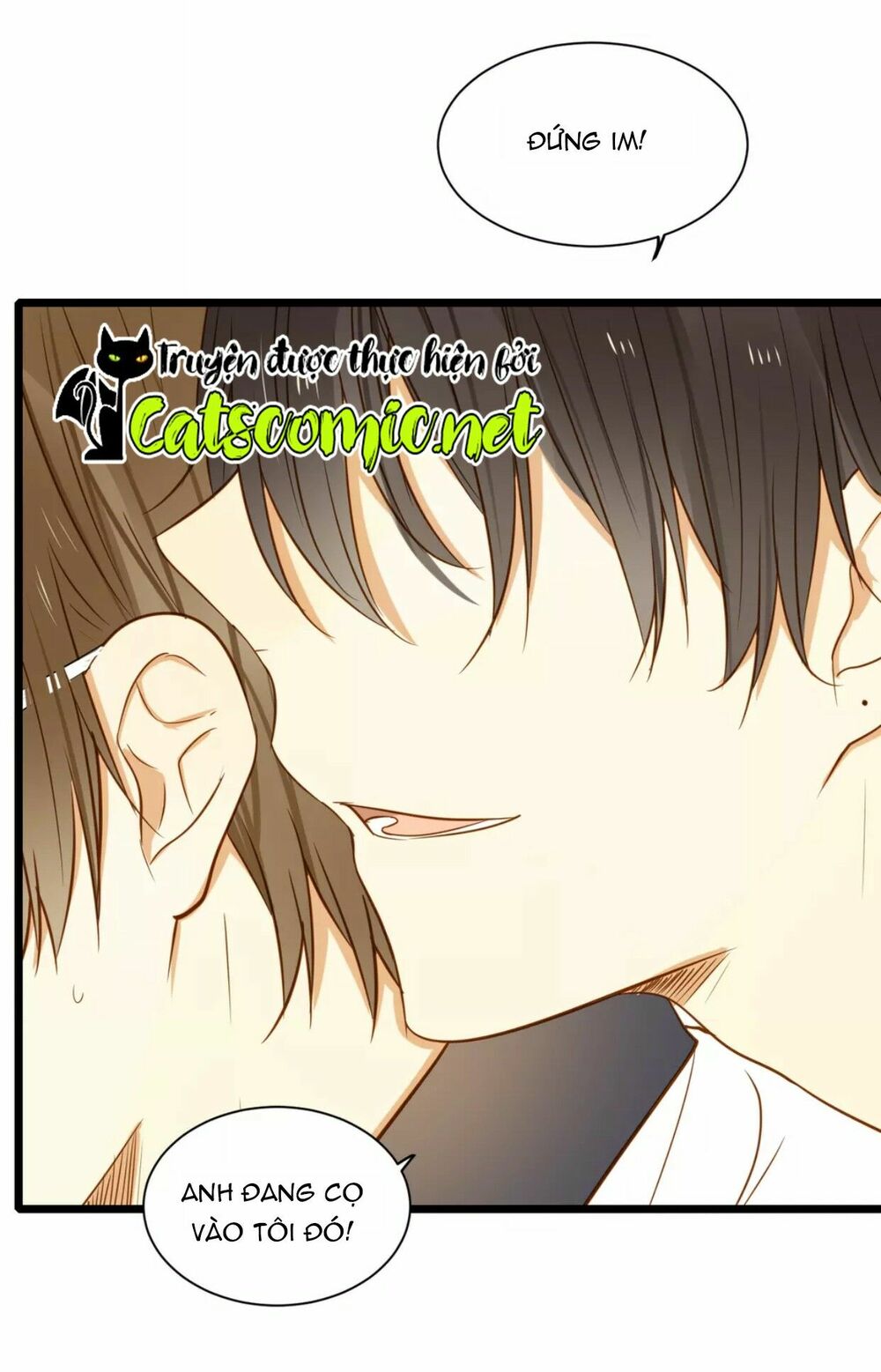 Điều giáo quan hệ: Chapter 17