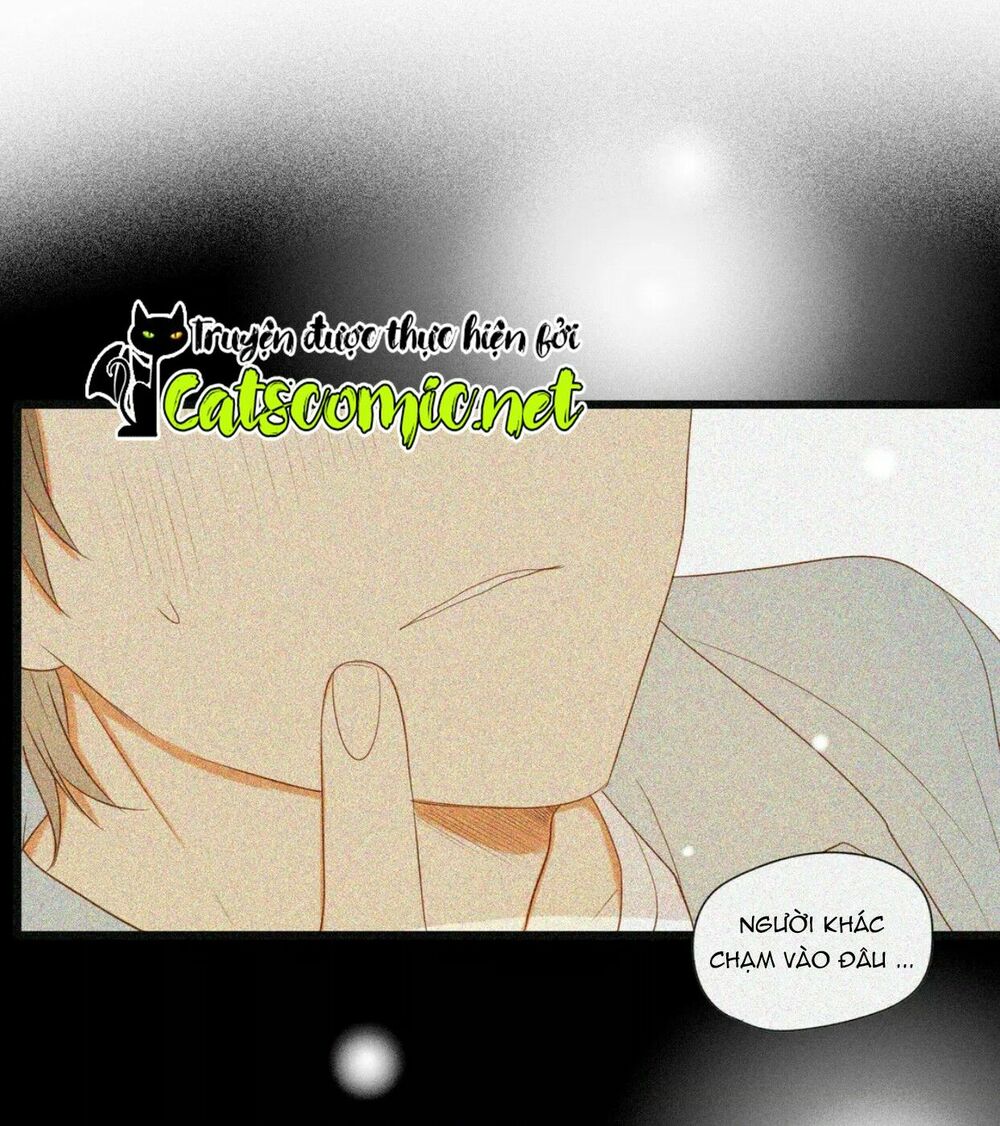 Điều giáo quan hệ: Chapter 17