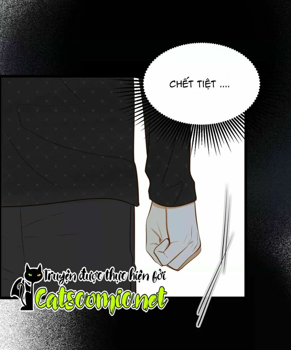 Điều giáo quan hệ: Chapter 21